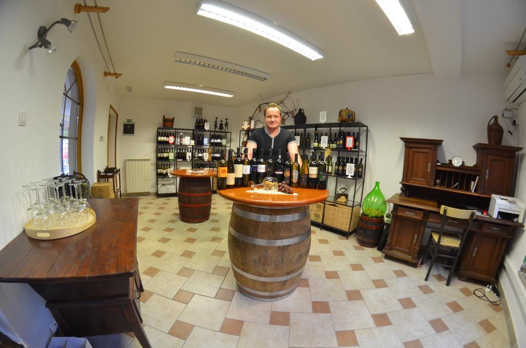 Winery WIPACH&Guesthouse Koren Vipava Exterior foto